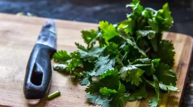 garnishing-instructions-image